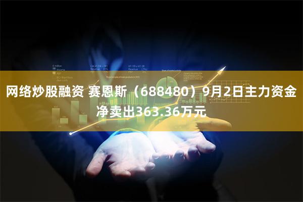 网络炒股融资 赛恩斯（688480）9月2日主力资金净卖出363.36万元