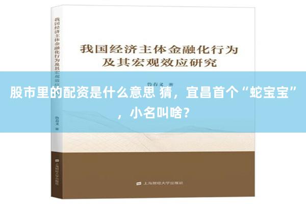 股市里的配资是什么意思 猜，宜昌首个“蛇宝宝”，小名叫啥？