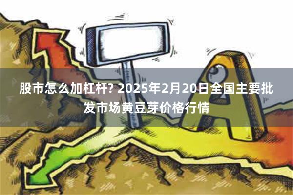 股市怎么加杠杆? 2025年2月20日全国主要批发市场黄豆芽价格行情